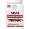 Petgold MSM Pferd Pulver