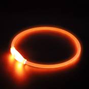 PetIsay LED Leuchthalsband  Vergleich