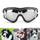 Petleso Hundebrille