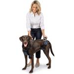 PetSafe careLift Hebegeschirr