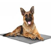 PetSol Hunde Kühlmatte Vergleich