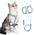 Pettom Blumenmuster Katzengeschirr