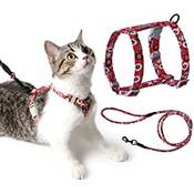 Pettom Katzengeschirr