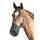 Pf Reitsport Fressbremse