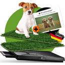 Pfotenwunder Hundeklo