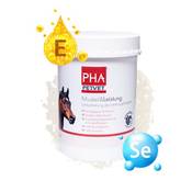 Pha Petvet Muskel & Leistung