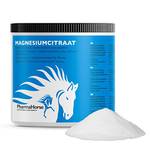 Magnesium Pferd