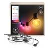 Philips Hue Festavia Globe Outdoor-Lichterkette