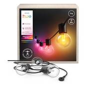 Philips Hue Festavia Globe Outdoor-Lichterkette