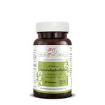 Phoenix der Lebenskraft Ackerschachtelhalm-Tabletten