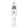 Physa Wellness & Lifestyle ‎PHY-SK-5