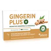 Gingerin Plus