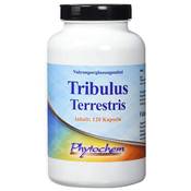 Phytochem Tribulus terrestris Vergleich