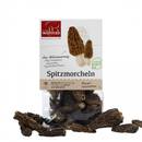 Pilze Wohlrab Spitzmorcheln