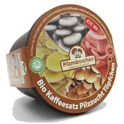 Pilzmämnnchen Bio Kaffeesatz Pilzzucht Töpfchen Vergleich