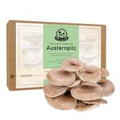 PilzWald Pilzzuchtset Austernpilz Vergleich