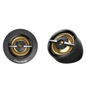 Pioneer TS-A301TW