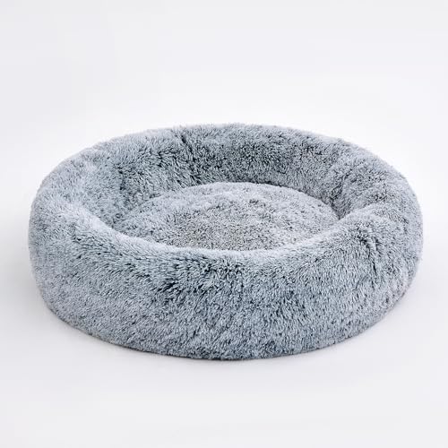 Hundebett-Donut Test & Vergleich  Top 11 im Juni 2026