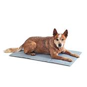 Piupet Kühlmatte Hund Vergleich