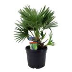 ‎Plant in a Box 2034191