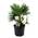 ‎Plant in a Box 2034191