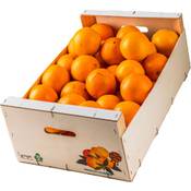 Plantagen Express Saftorangen 14 kg Vergleich