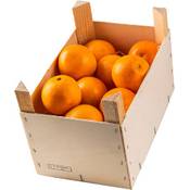 Plantagen Express Saftorangen Vergleich
