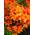 Plantapro 87025