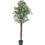 Plantasia Kunstpflanze Olivenbaum