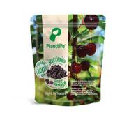 PlantLife Bio-Sauerkirschen Vergleich