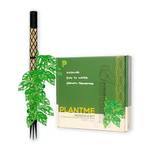 Plantme Moosstab Midi Set