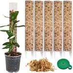 Plantscraper Moosstab