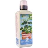 gel aloe vera amazon NaturSense 12oz - 99% Organic Aloe Vera Gel main image 1