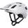 Poc Axion Spin