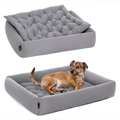 kunstleder hundebett Hundebett Kunstleder VISCO orthopädisch Hundelounge main image 1