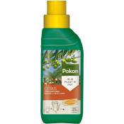 Pokon Zitrus- und Mediterraner Pflanzendünger Vergleich