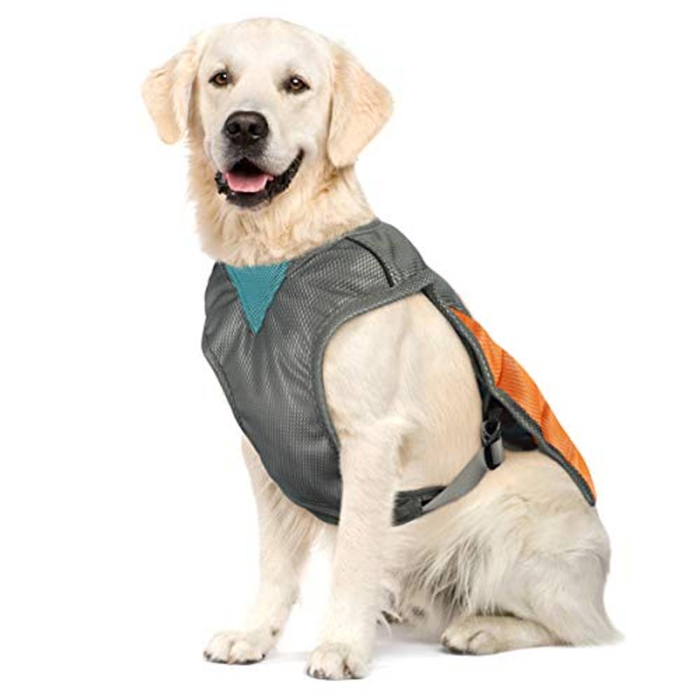 Kühlweste Hund Vergleich & Test » Top 15 im April 2025