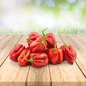 Prademir Habanero