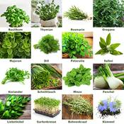 Prademir Kräutersamen Mischung