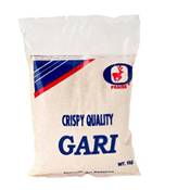 Praise Gari