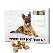 Printplanet Hunde-Adventskalender (2025)
