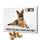 Printplanet Hunde-Adventskalender (2025)