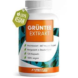 ProFuel Grüntee Extrakt