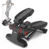 Proiron Swing-Stepper