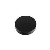 Project Record Puck E