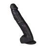 Projekt Sexmuseum Doktor Dildo
