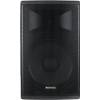 Pronomic E-210 MA