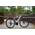 Prophete Entdecker 4.0 ‎55464-1101