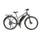Prophete Trekking E-Bike 28"