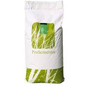 Prosementis Poa Supina Vergleich